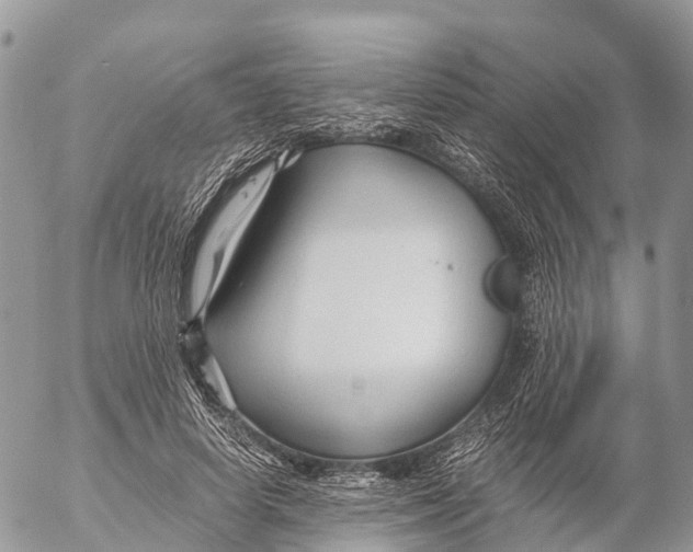 X0000053090642200508081312