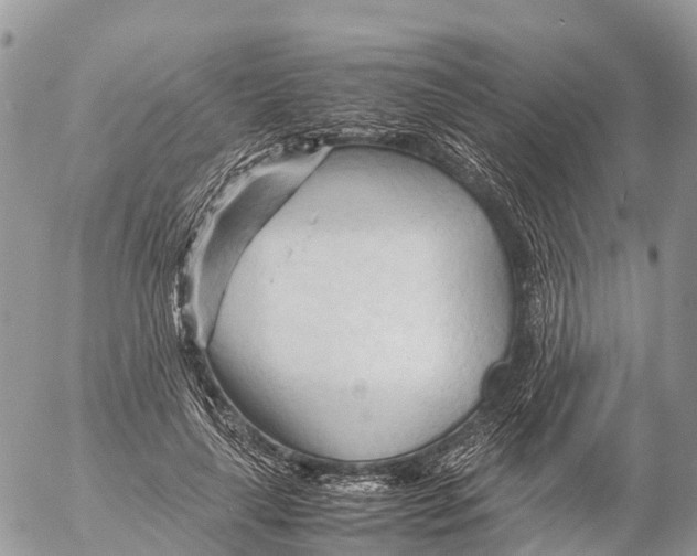 X0000053090643200508081312