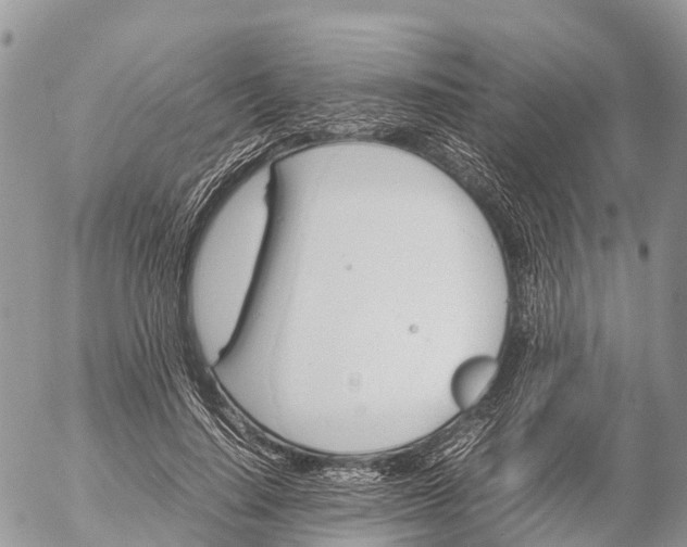 X0000053090644200508081312