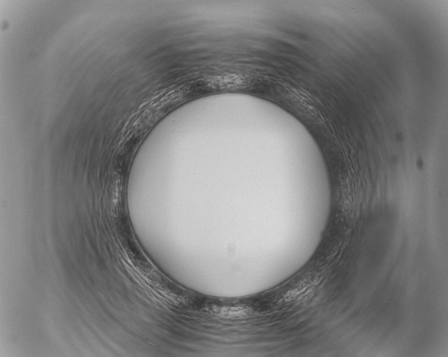 X0000053090645200508081312