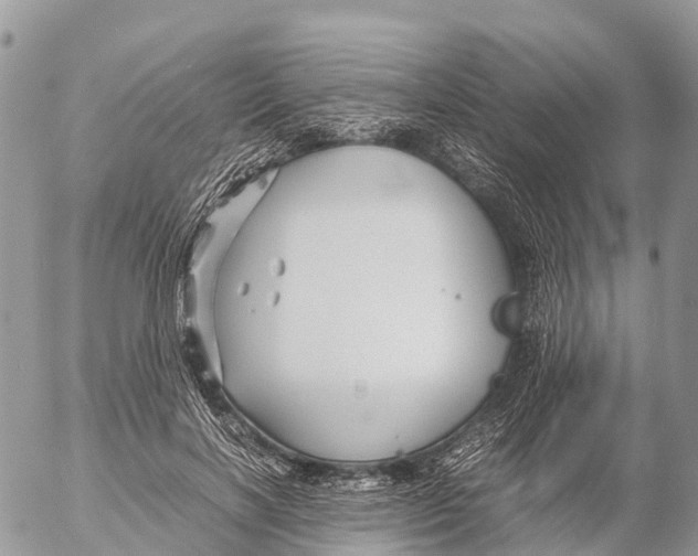 X0000053090646200508081312