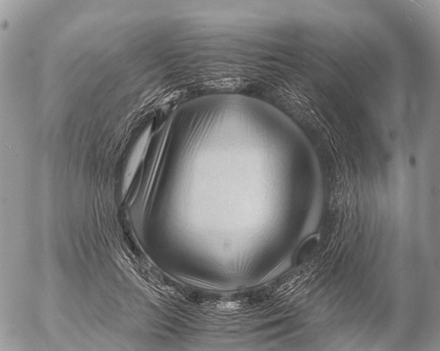 X0000053090647200508081312