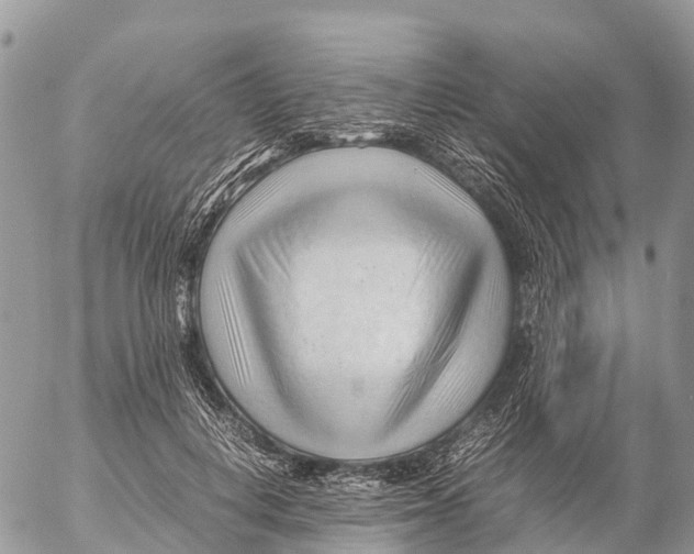 X0000053090648200508081312