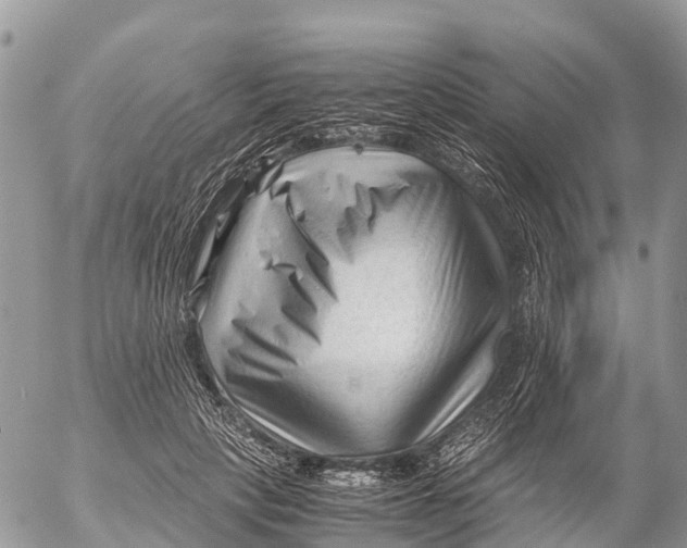 X0000053090649200508081312