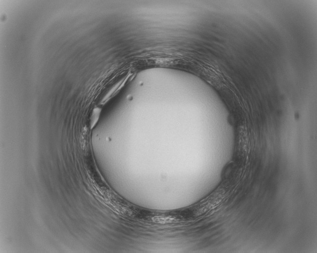 X0000053090650200508081312