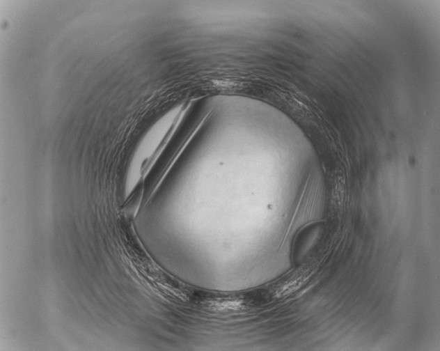 X0000053090651200508081312