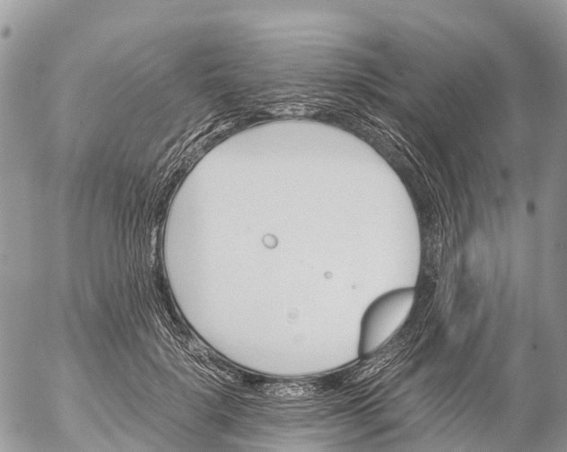 X0000053090652200508081312