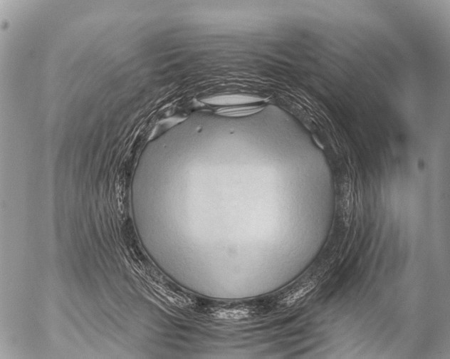 X0000053090653200508081312