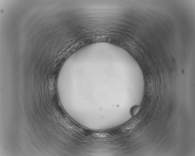 X0000053090654200508081312