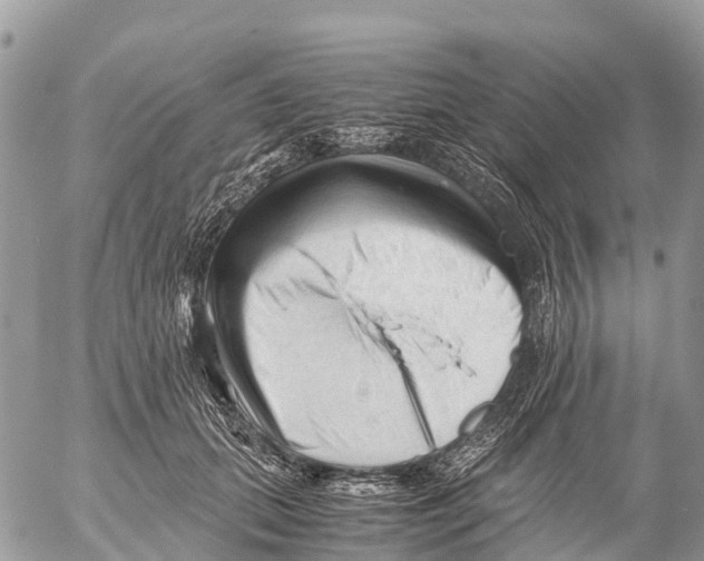 X0000053090655200508081312