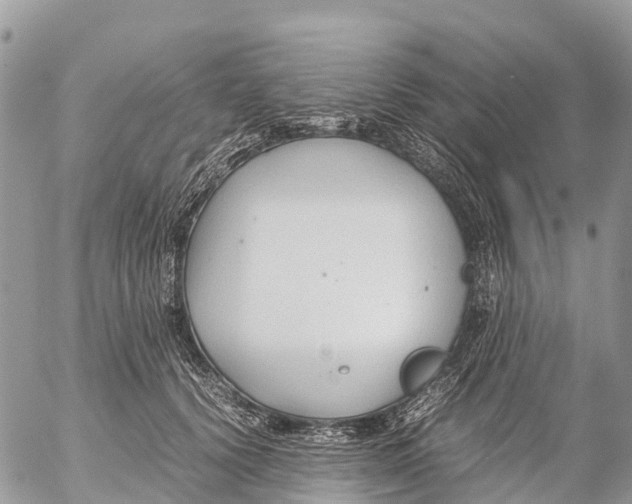 X0000053090656200508081312