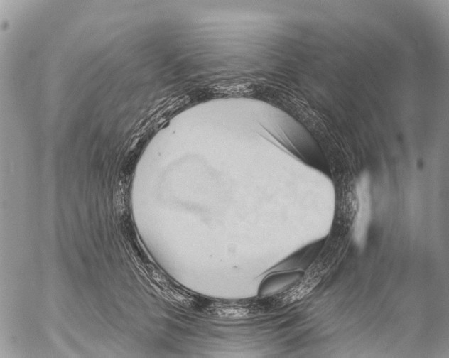 X0000053090658200508081312