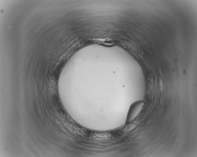 X0000053090659200508081312