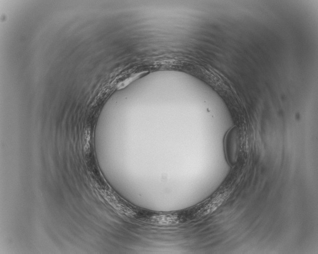 X0000053090660200508081312