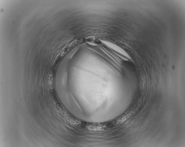 X0000053090661200508081312