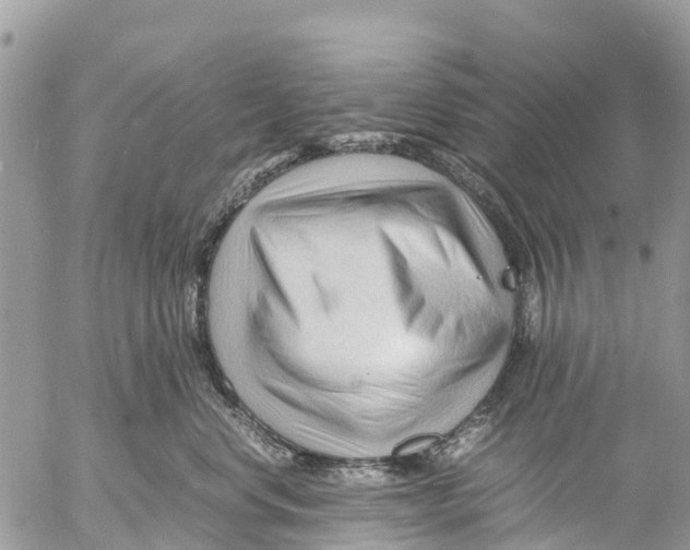 X0000053090668200508081312