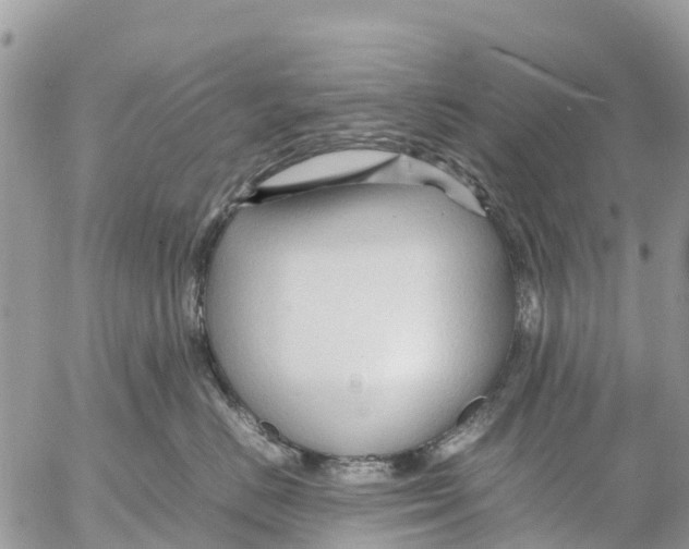 X0000053090670200508081312