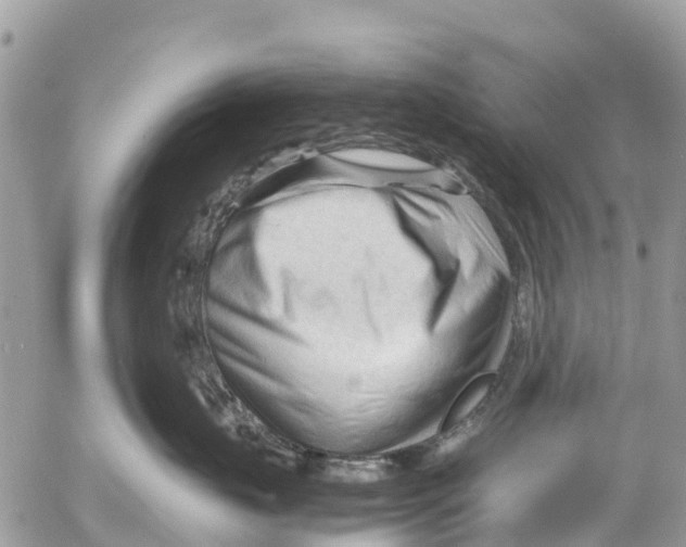 X0000053090671200508081312