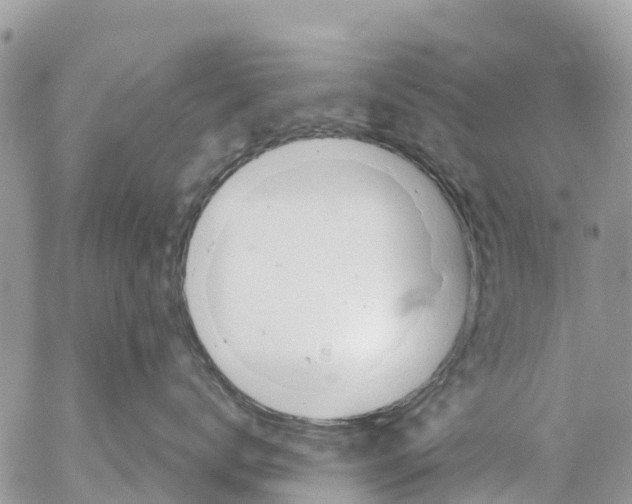 X0000053090672200508081312