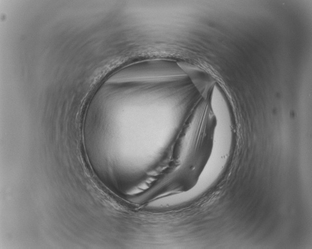 X0000053090673200508081311