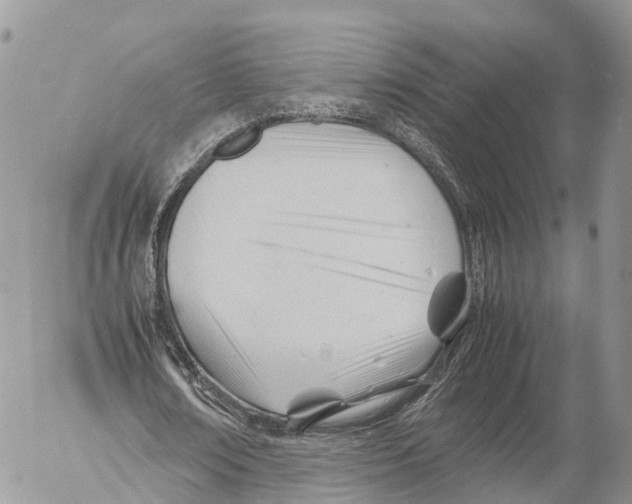 X0000053090674200508081311