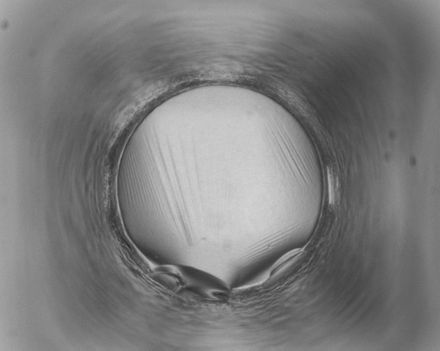 X0000053090675200508081311