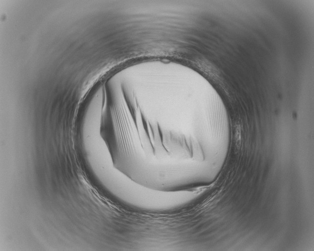 X0000053090676200508081311