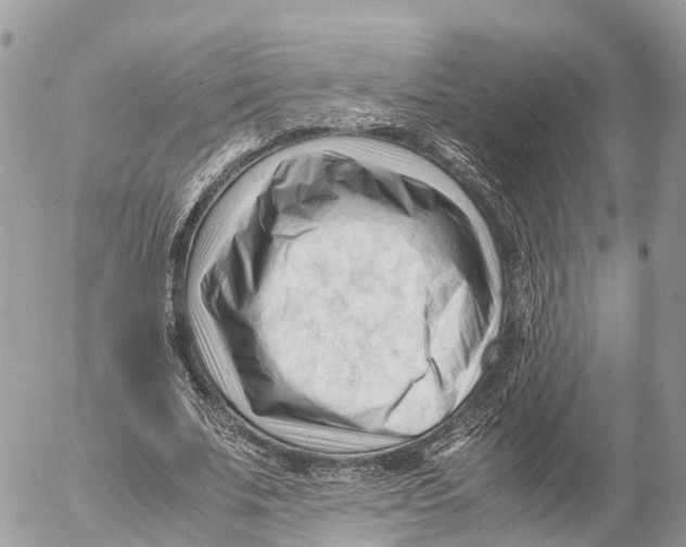 X0000053090679200508081311