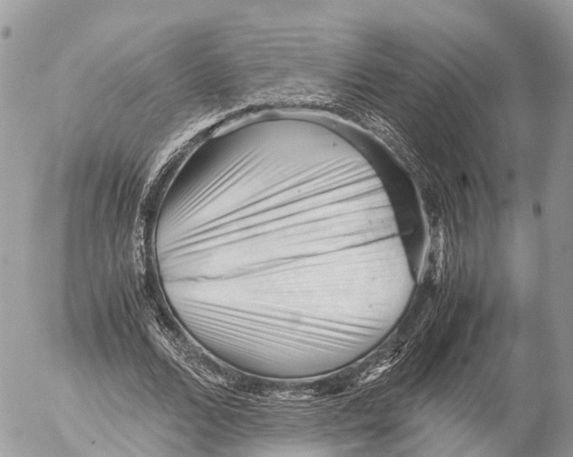 X0000053090680200508081311