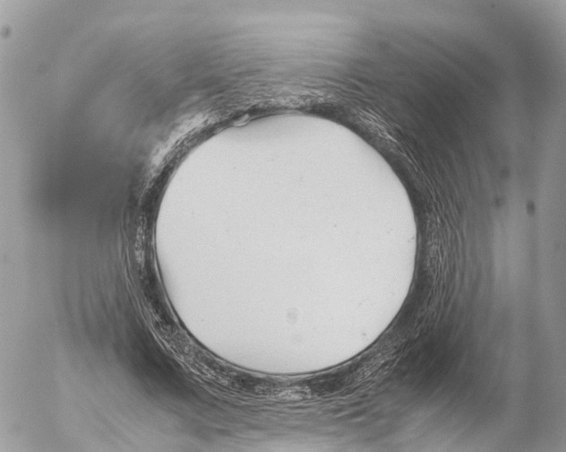 X0000053090683200508081311