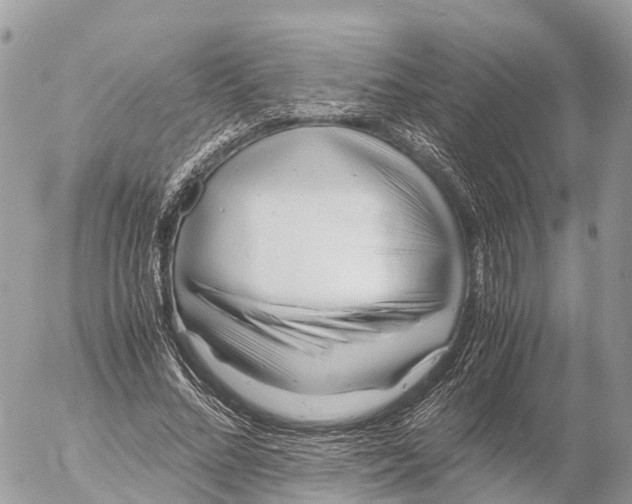 X0000053090684200508081311