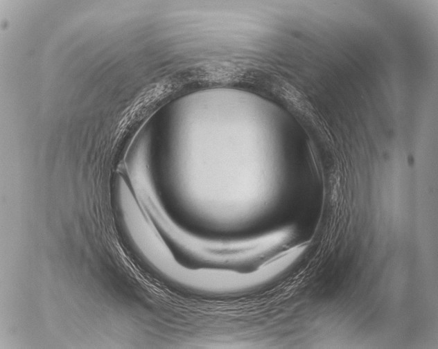 X0000053090685200508081311