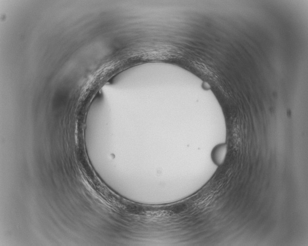 X0000053090686200508081311