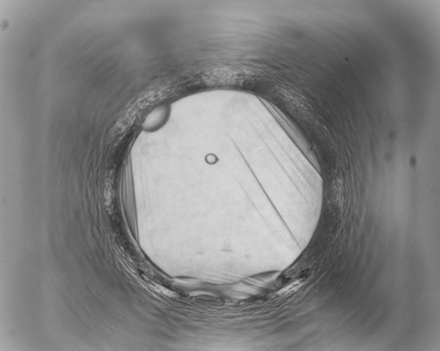 X0000053090687200508081311