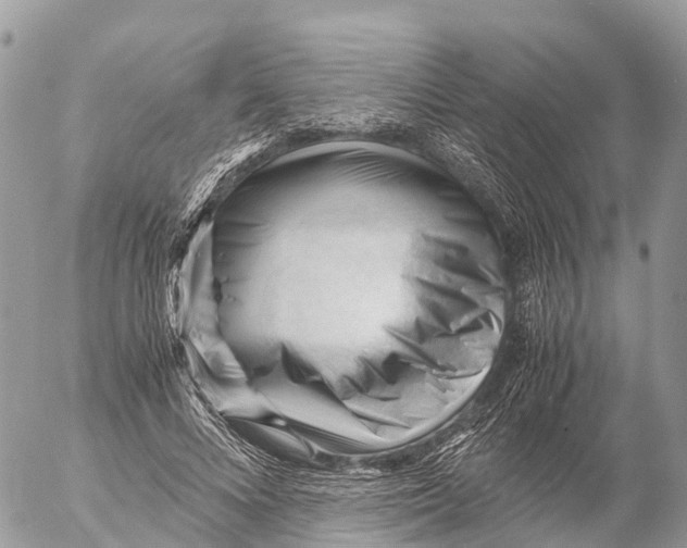 X0000053090688200508081311