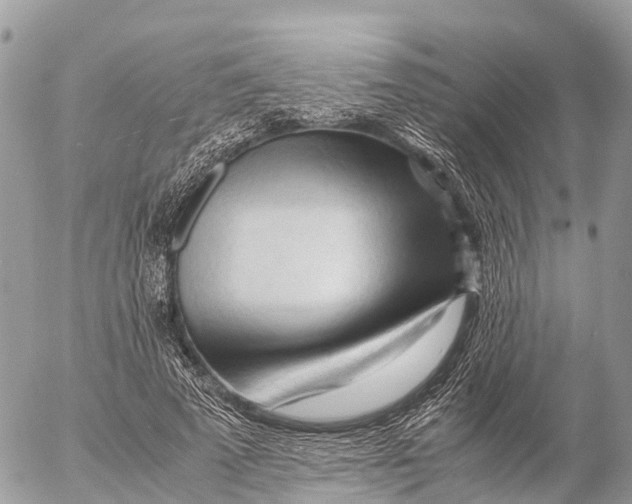 X0000053090689200508081311