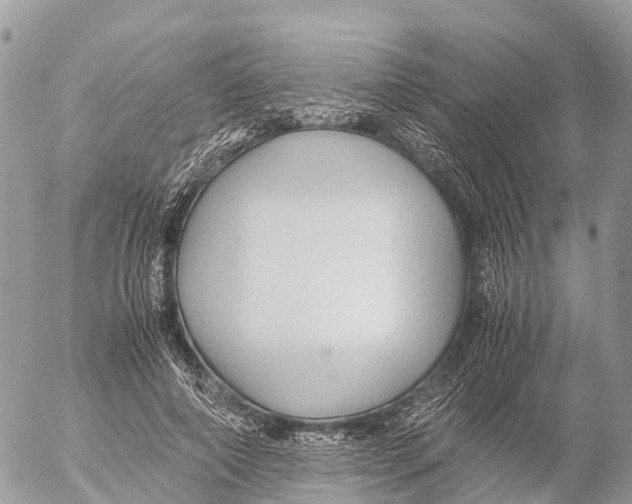 X0000053090690200508081311