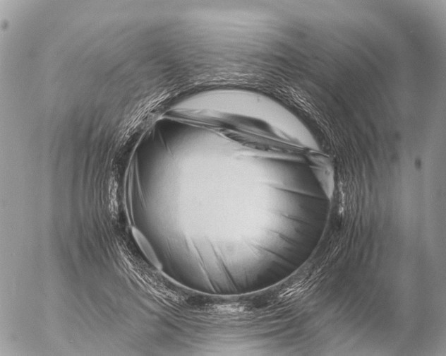 X0000053090692200508081311