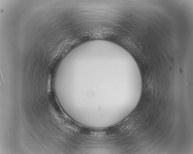 X0000053090694200508081311