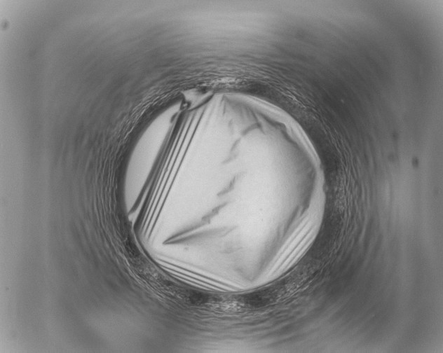 X0000053090695200508081311