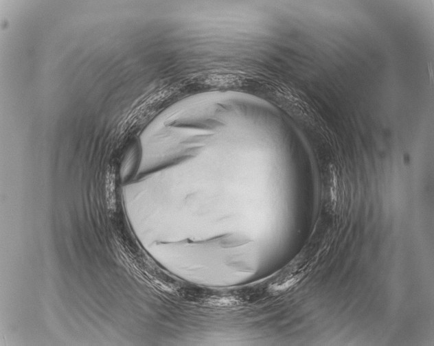 X0000053090696200508081311