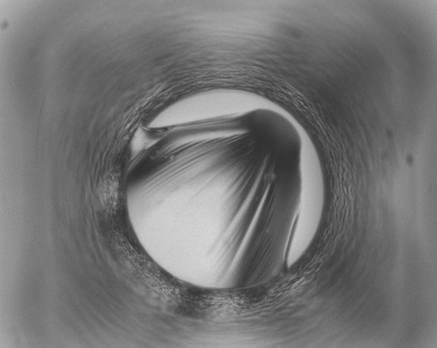 X0000053090697200508081311