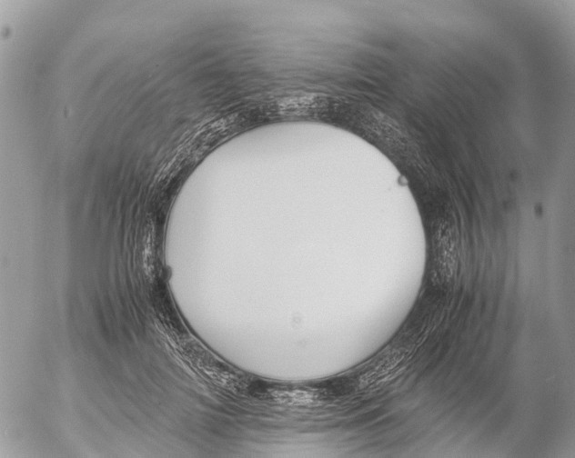 X0000053090698200508081311