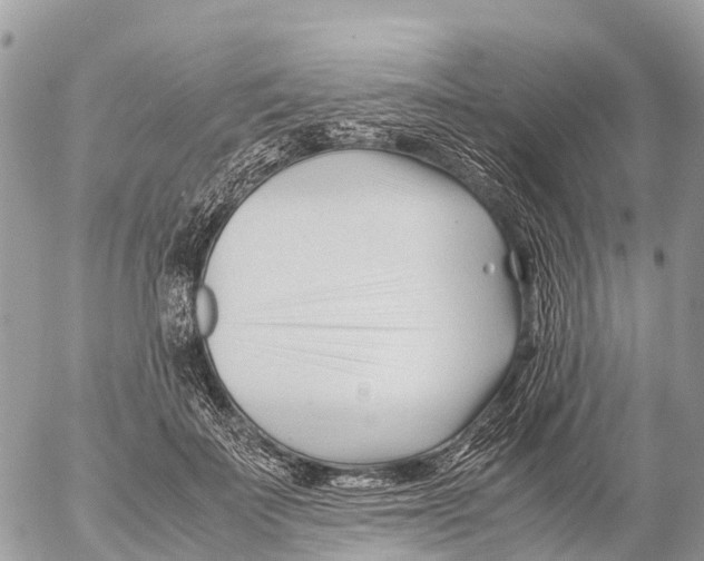 X0000053090699200508081311