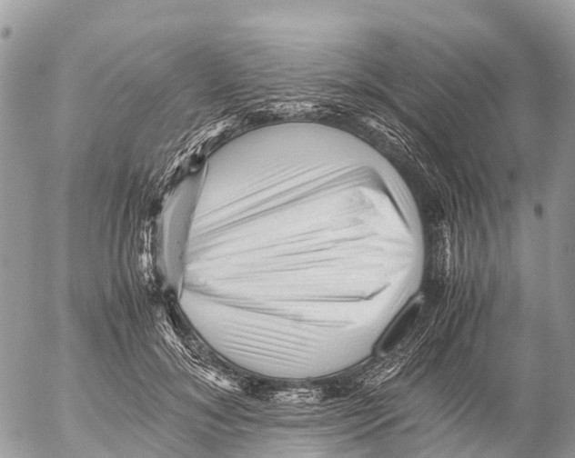 X0000053090700200508081311