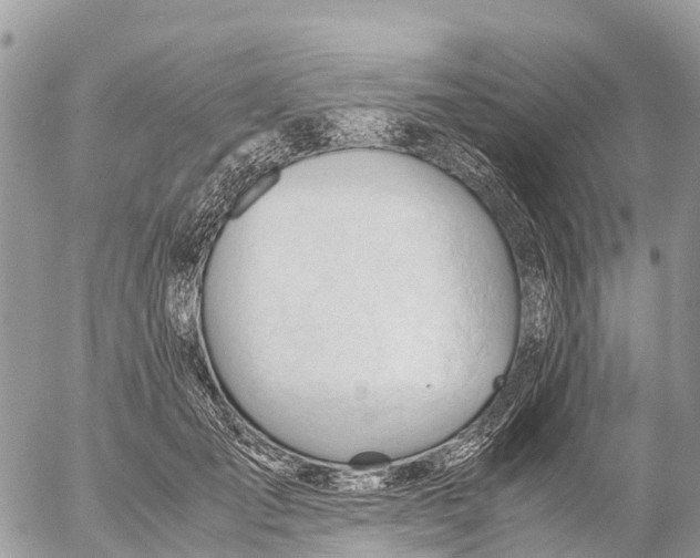 X0000053090701200508081311