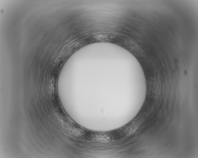 X0000053090702200508081311