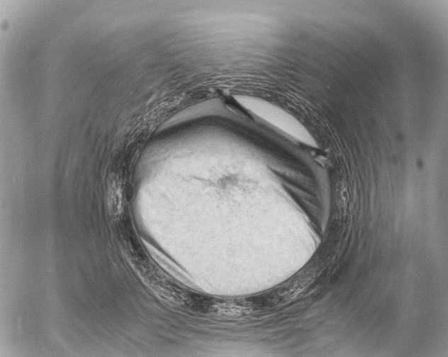 X0000053090703200508081311