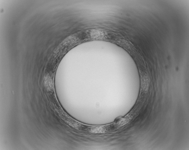 X0000053090705200508081311