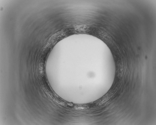 X0000053090706200508081311